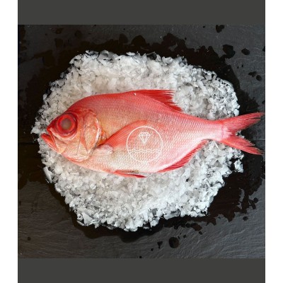 Comprar pescado rey online