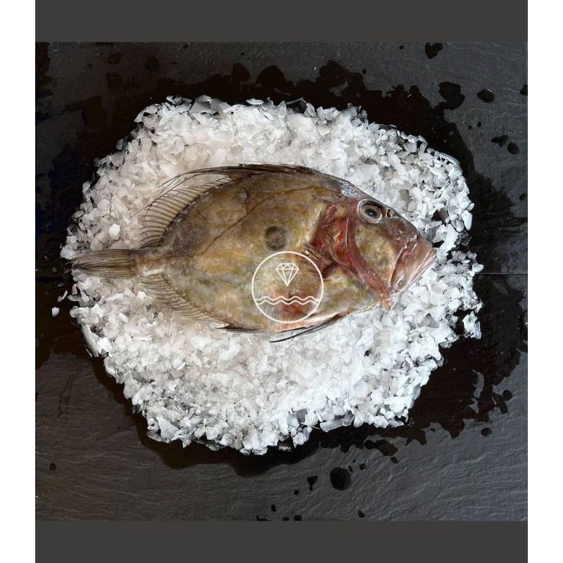 Comprar gallo san Martín o san Pedro online