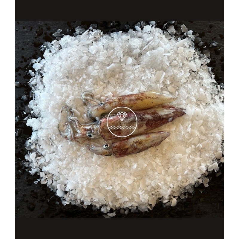 Comprar calamar online