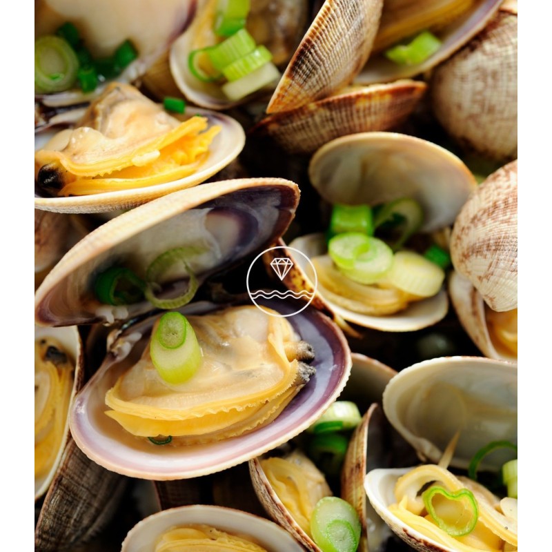 Comprar Almeja fina gallega extra+