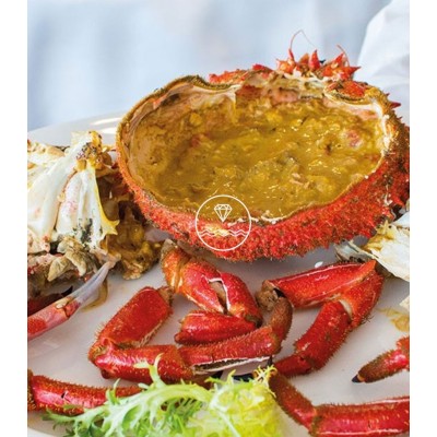 Centollo de las rías gallegas