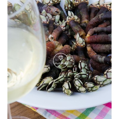 Comprar percebe gallego gordo | Comprar mariscos gourmet  | ¡Compra ahora!