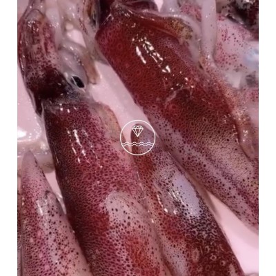 Maganos (mayo-septiembre)