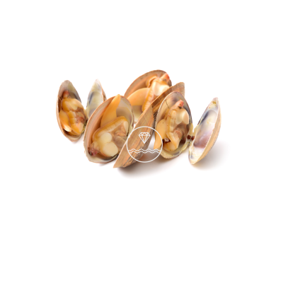 Comprar almeja fina gallega mediana