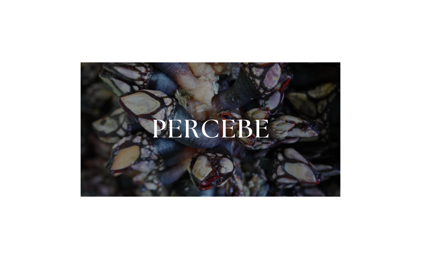 Tipos de Percebes: Cómo Elegir el Mejor según su Calidad y Sabor