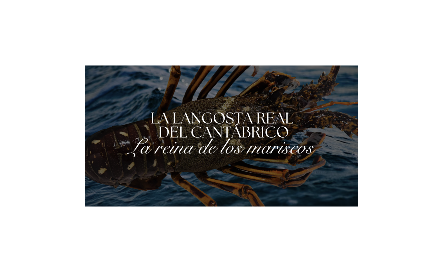 Langosta Real del Cantábrico: Beneficios y propiedades