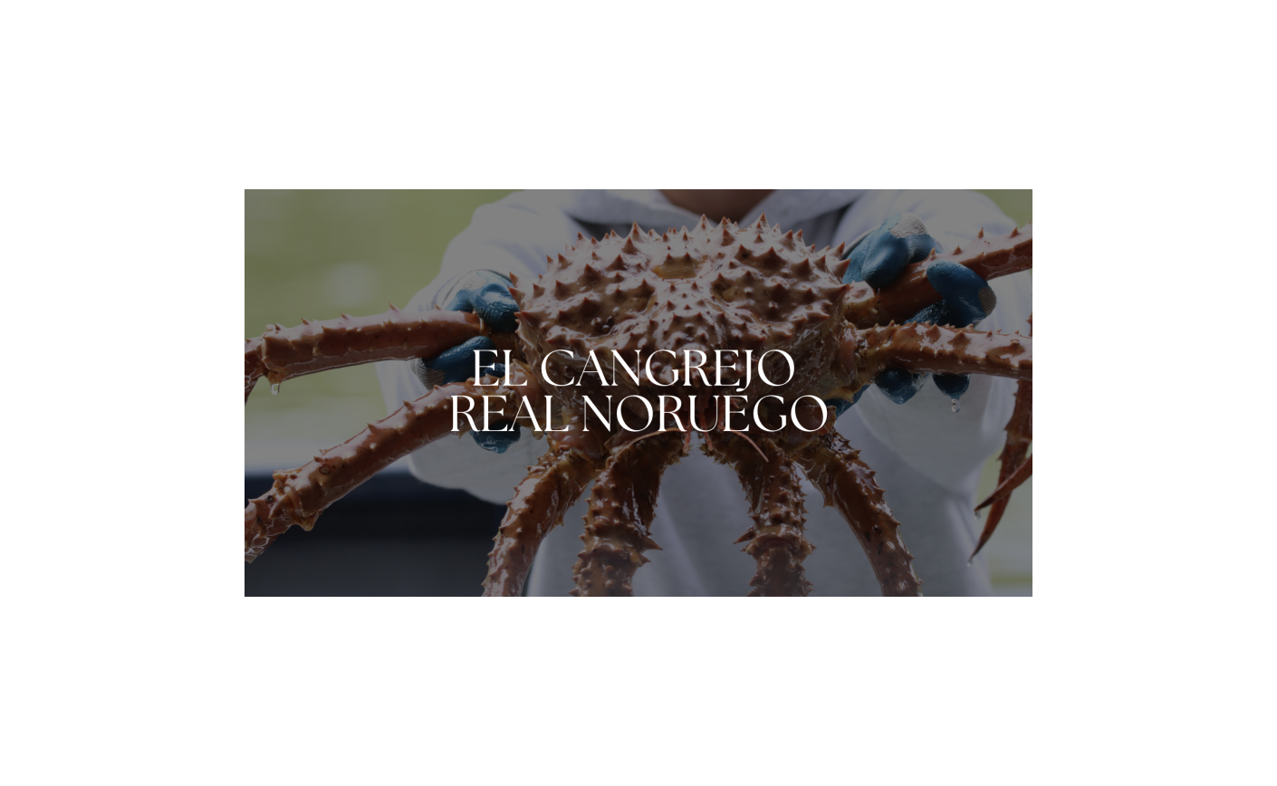 El Cangrejo Real Noruego: Un Manjar de las Frías Aguas del Ártico