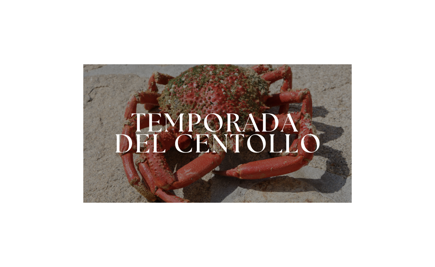 La Temporada del Centollo Gallego: Propiedades, Selección y Receta Clásica
