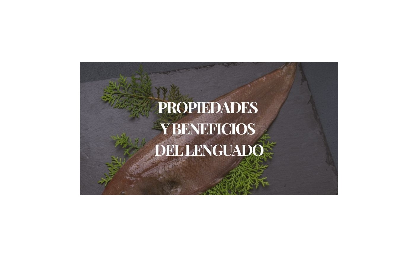 Propiedades y beneficios del lenguado | Mariscos Anamar