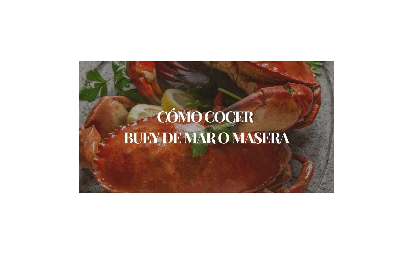 Cómo cocer el buey de mar paso a paso | Mariscos Anamar