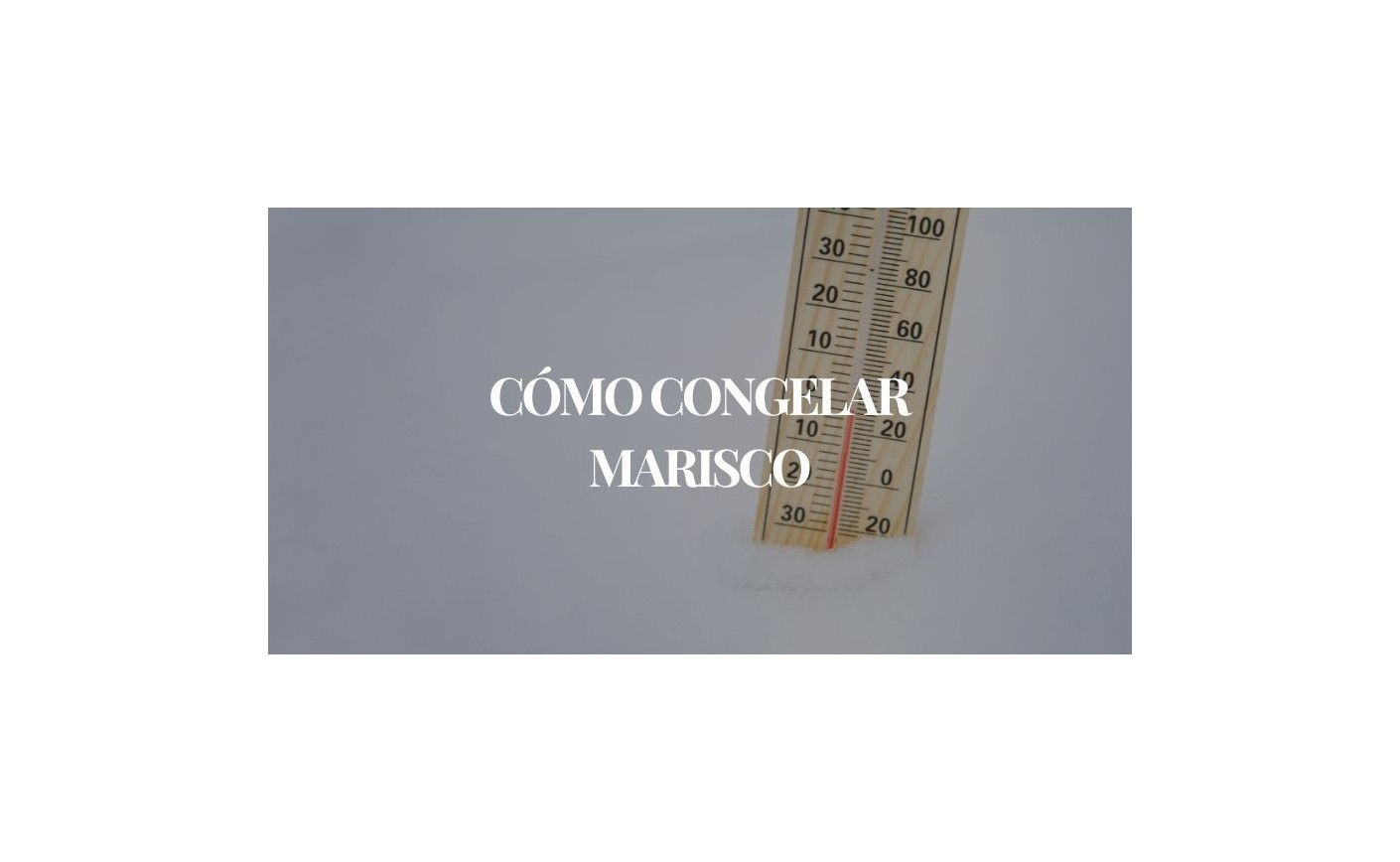 Guía Completa para Congelar Marisco y Pescado | Mariscos Anamar