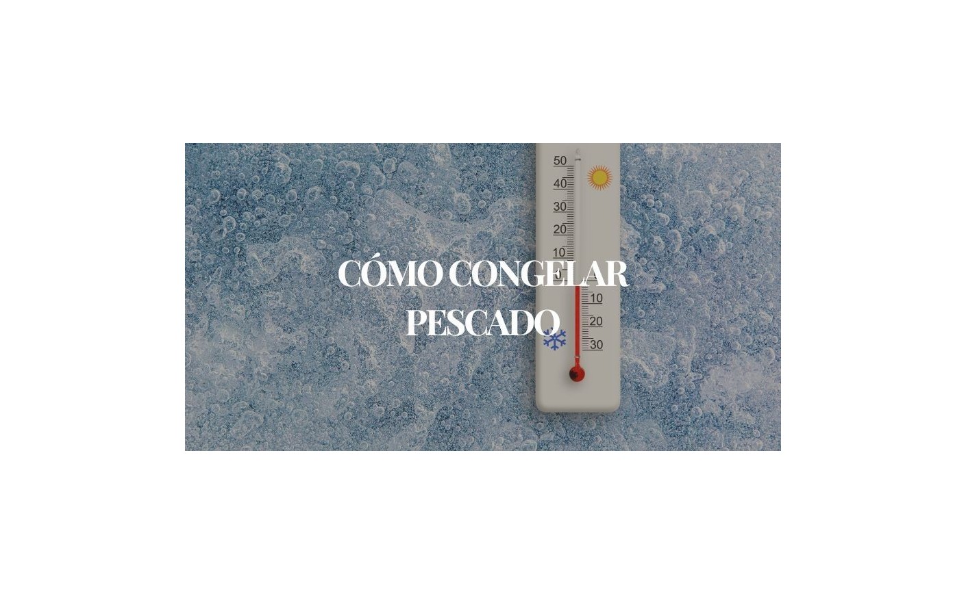 Guía completa para congelar pescado y conservar su frescura