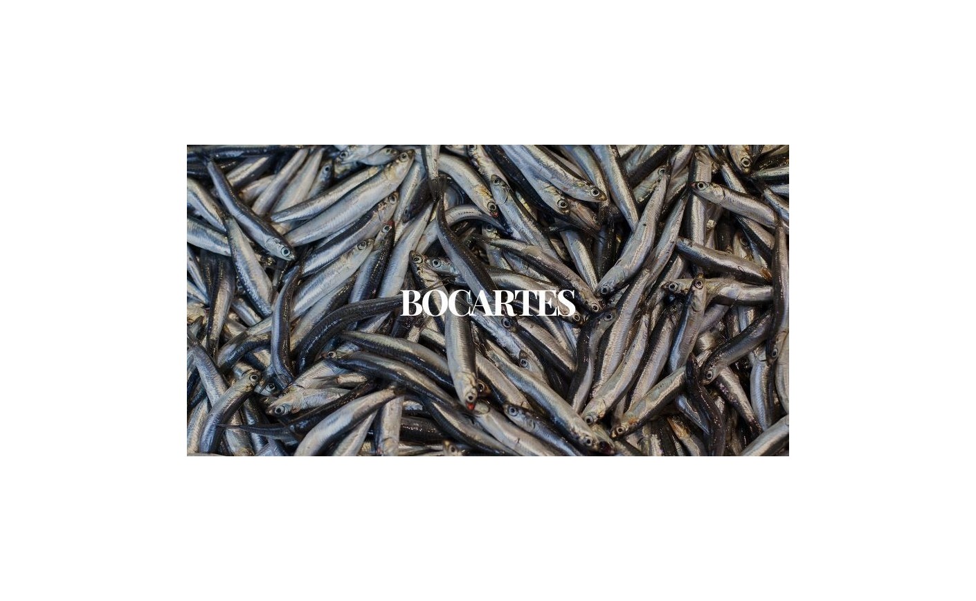 Beneficios del bocarte | Propiedades y curiosidades del boquerón