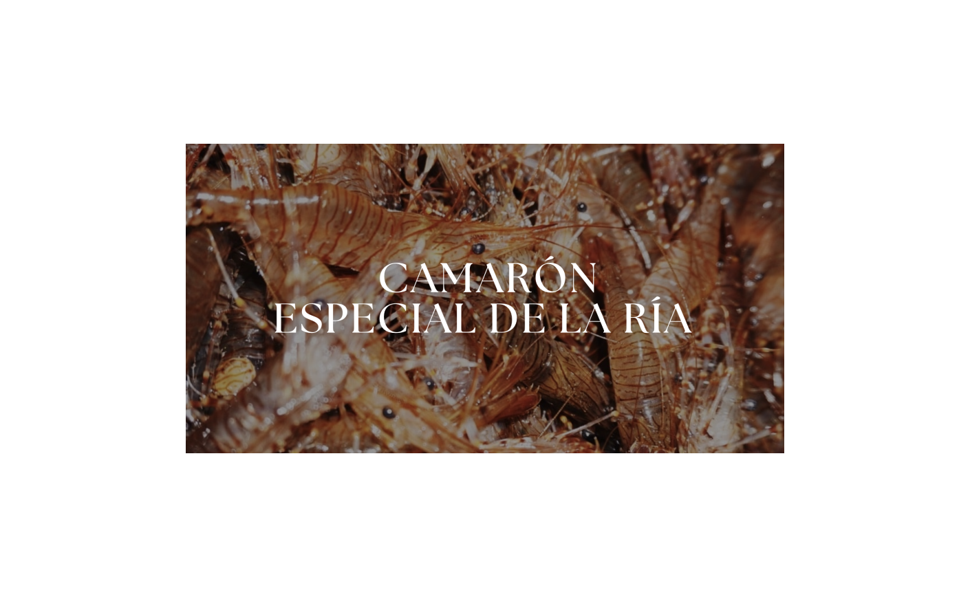 Camarón Especial de la Ría
