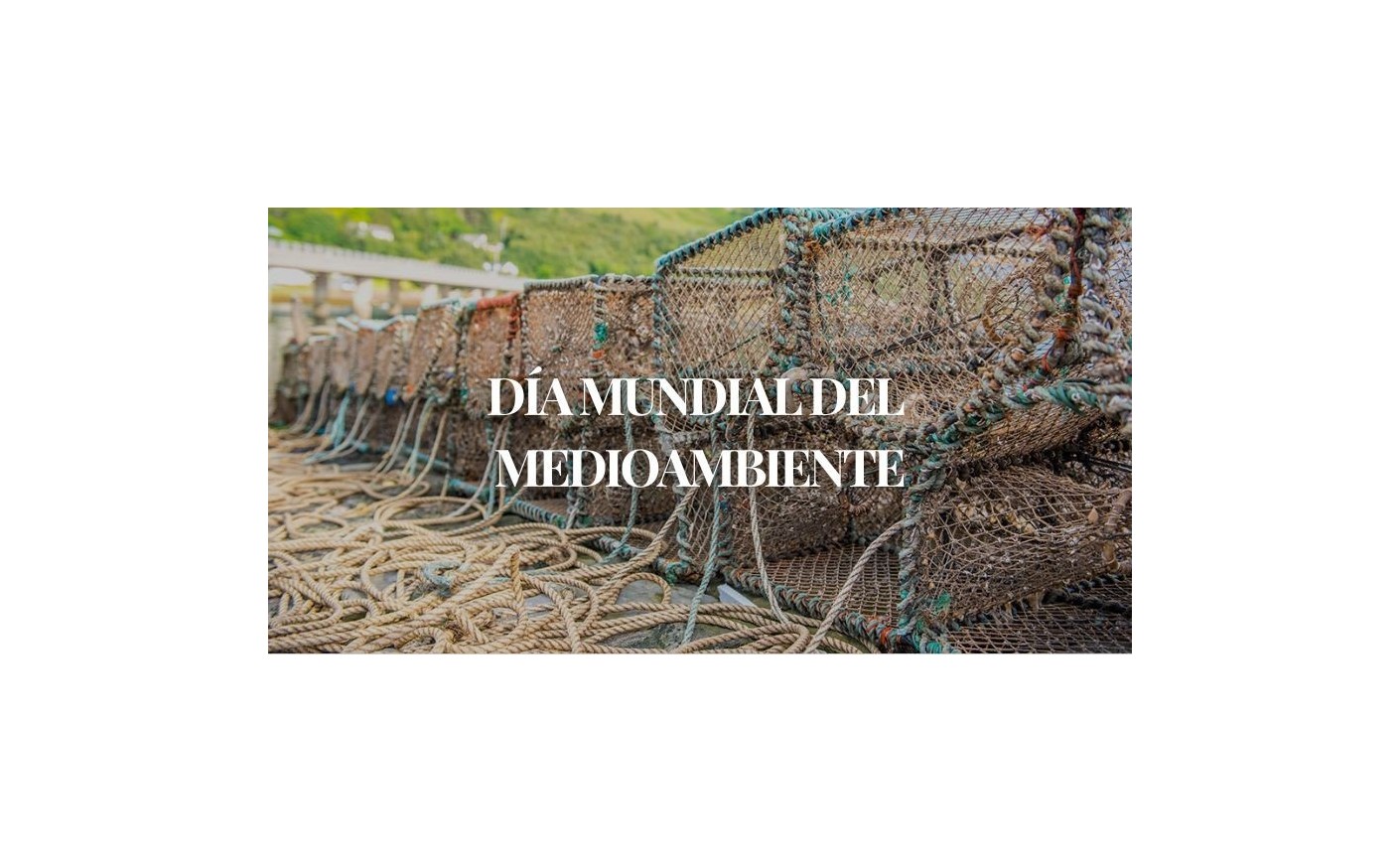 Compromiso con la sostenibilidad marina | Día Mundial del Medio Ambiente – Mariscos Anamar