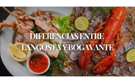 Diferencias entre langosta y bogavante – Mariscos Anamar