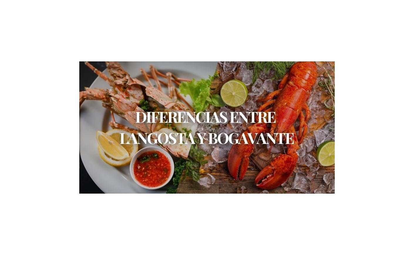 Diferencias entre langosta y bogavante – Mariscos Anamar