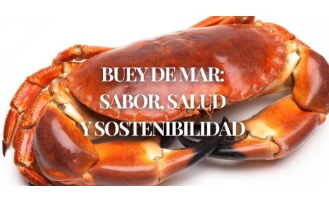 Buey de mar: propiedades, beneficios y pesca sostenible | Mariscos Anamar